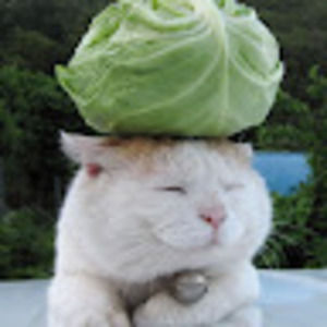 Meet your Posher, Annely